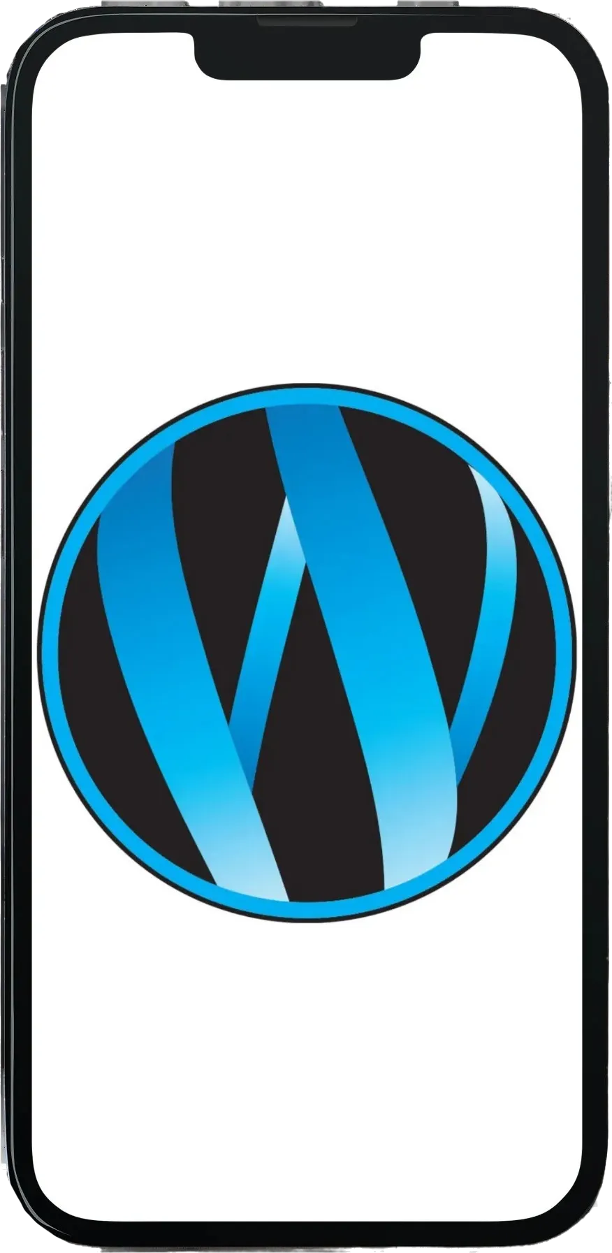 Hjemmesider - verden over bruger mange WordPress